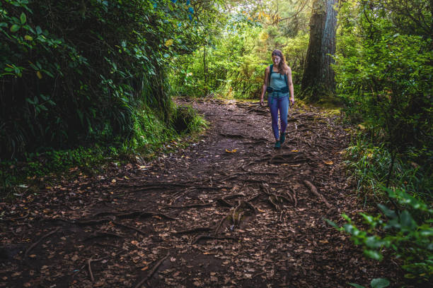 Hiker walking on a natural forest trail with roots and uneven ground
